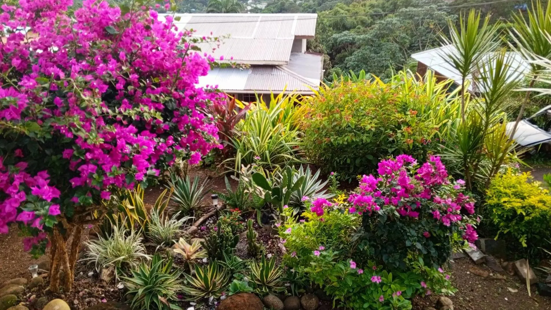 Le Chez Garden Hideaway Apartment Mardigras 0*,  Grenada