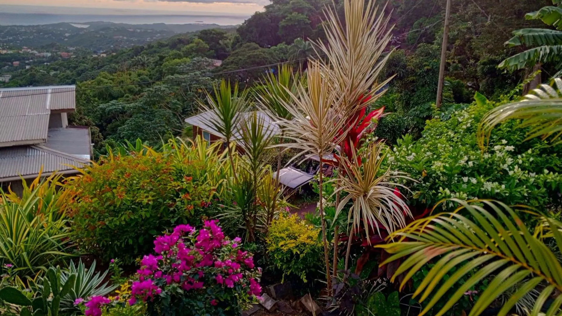 Le Chez Garden Hideaway Apartment Mardigras Grenada